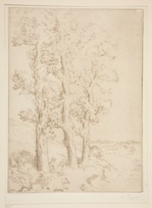 Nainen lukee: Oppitunti puiden alla tekijältä Alphonse Legros