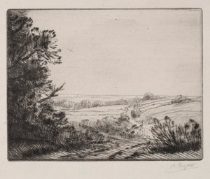 Maisema tekijältä Alphonse Legros