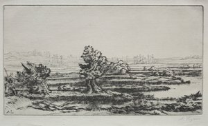 Maisema tekijältä Alphonse Legros