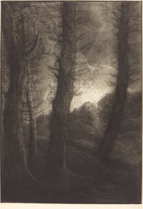 Isot puut aurinkoa vasten tekijältä Alphonse Legros
