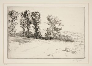 Le pre ensoleille (Meadow in Sunshine) tekijältä Alphonse Legros