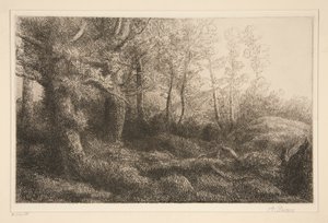 metsän reuna tekijältä Alphonse Legros