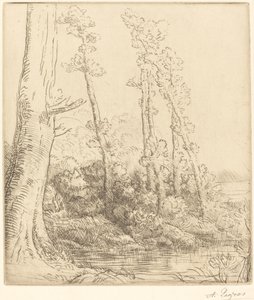 Pikku Pond La petite tamma. tekijältä Alphonse Legros