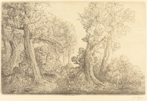 Lähellä metsää, Veronne (Pres du bois, Veronne) tekijältä Alphonse Legros