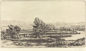 Suot Les Tourbieres. tekijältä Alphonse Legros