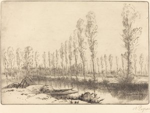 Poppelit lähellä Amiensia Lähellä Amiensia, suot. tekijältä Alphonse Legros