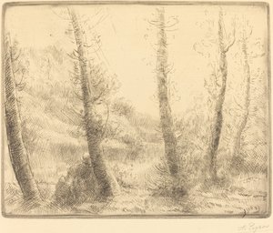 Pieni järvi tekijältä Alphonse Legros