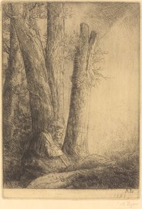 Tutkimus tuhlaajapojalle tekijältä Alphonse Legros
