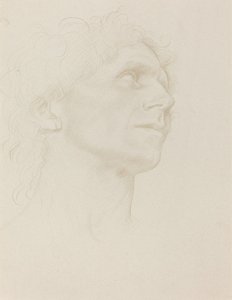 Tutkimus naisen päästä, käännetty oikealle. tekijältä Alphonse Legros