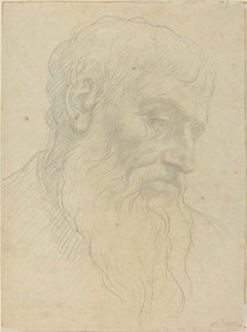 Pään tutkimus. tekijältä Alphonse Legros