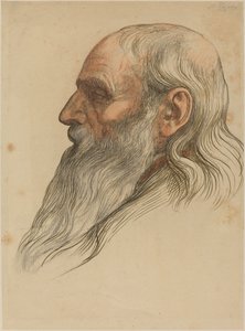 Tutkimus miehen päästä, jolla on täysi parta tekijältä Alphonse Legros