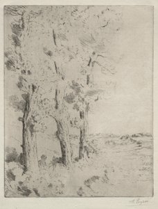 Lukija: Luento puiden alla, c. 1882. tekijältä Alphonse Legros