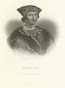 Kaarle VIII tekijältä Alphonse Marie de Neuville