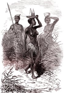 Nuer-heimon alkuasukkaat, Niilin laakson yläosa tekijältä Alphonse Marie de Neuville