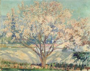 Almond Tree in Blossom (oil on canvas)   1417956   fi       finnish Successfully Translated  Original: Cat Bird Translat: Cat Bird 1242905 fi finnish Successfully Translated Original: Ein frau aus Marhern ... Translat: Ein frau aus Marhern ... 1252374 fi f