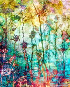 Rich Tapestry (Lämmin), 2014, (digitaalinen sekamediafonografia)