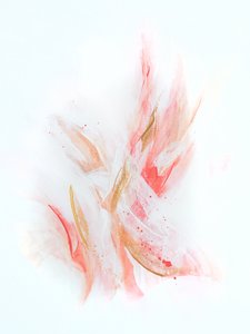 Fluid Blush Gold -abstrakti tekijältä Alyson Storms