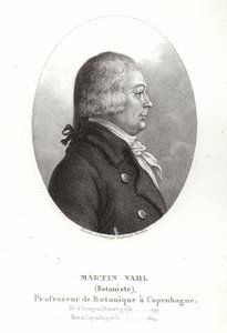 Martin Vahl tekijältä Ambroise Tardieu