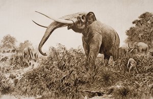The Chatham Elephant, kuvitus H.G. Wellsin teoksesta "The Outline of History", osa I, julkaistu vuonna 1920 (litho)