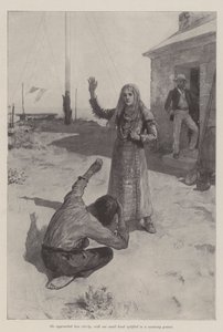 Mermaid of Lighthouse Point, kirjoittanut Bret Harte