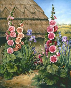Mökkipuutarha hollyhocks kanssa, 1995