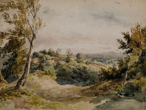Bromleysta