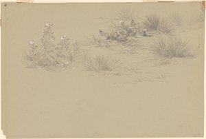 Kukkivat pensaat ja aavikkokasvit tekijältä American 19th Century after John Frederick Kensett