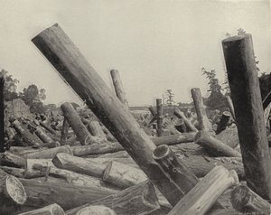 Log Jam St Croix Riverissä, Wisconsinissa (m/w kuva) tekijältä American Photographer (after)