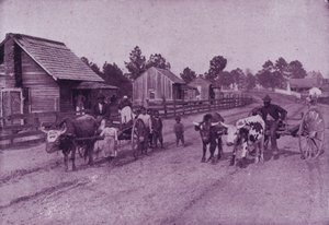 Onnellisen sisällön kyläkohtaus Virginiassa (m/v kuva) tekijältä American Photographer (after)
