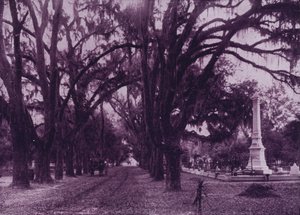 Bonaventuren hautausmaa, Savannah, Georgia (m/w kuva) tekijältä American Photographer (after)