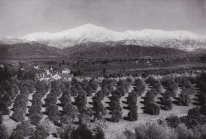 Kalifornia: Redlands, Smiley Heightsista, auringonpaiste, appelsiinitarhat ja lumiset huiput (m/w kuva) tekijältä American Photographer (after)