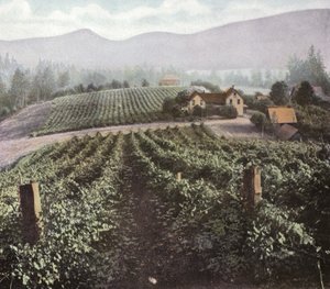 Oregon: Monipuolinen viljely Willamette Valleyssa (kuva) tekijältä American Photographer (after)