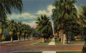 Phoenix, Arizona: North Central Avenue (kuva) tekijältä American Photographer (after)