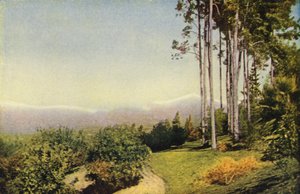 Etelä-Kalifornian maisema Redlandsin lähellä (värikuva). tekijältä American Photographer