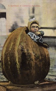 Näyte Kalifornian kurpitsoista (sävytetty kuva) tekijältä American Photographer