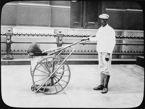 City Street Cleaner, Philadelphia, n. 1920 tekijältä American Photographer