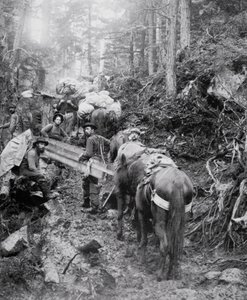 Dyea-reitin kiipeäminen matkalla Chilkoot Passiin Klondiken kultakuumeen aikana (1897-1898) (m/v kuva) tekijältä American Photographer