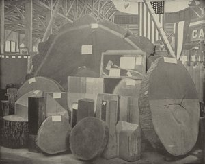 Gladstones Axe tekijältä American Photographer