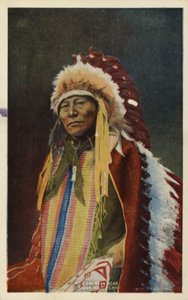 Hollow Horn Bear, sioux-intiaanipäällikkö (kuva) tekijältä American Photographer
