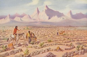 Mojave-intiaanien mystinen labyrintti, Needlesin lähellä, Kalifornia (värillinen kuva) tekijältä American Photographer