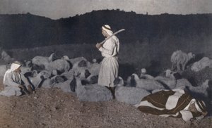 Palestiinalaiset paimenet katselevat laumaansa yöllä (värillinen kuva). tekijältä American Photographer