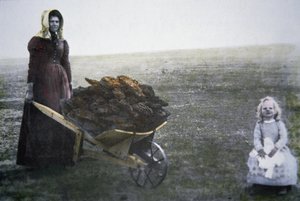 Pioneerinainen kerää karjan lantaa, Kansas, n. 1880 (värillinen kuva) tekijältä American Photographer