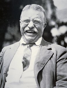 Presidentti Theodore Roosevelt, n. 1917 (m/v kuva) tekijältä American Photographer