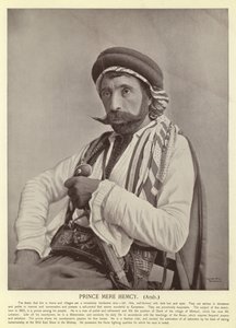 Prinssi Mere Hemcy, arabi