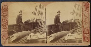 Haita pyydystetty Barbadoksella, Länsi-Intiassa (s/w-kuva). tekijältä American Photographer