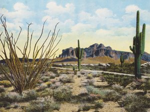 Superstition-vuori ja aavikko, "Apache Trail" (värikuva) tekijältä American Photographer