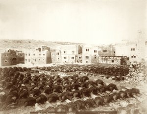 Nahkatehdas Hebronissa, jossa vuodat on asetettu etualalla, 1898-1911 tekijältä American Photographer