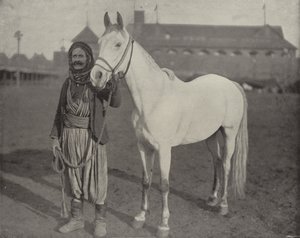 Beduiinit-palkinto Steed tekijältä American Photographer
