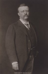Theodore Roosevelt, 26. Yhdysvaltain presidentti, 1904 tekijältä American Photographer