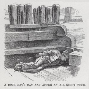 Dock Rat